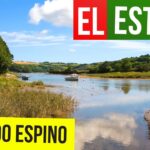 El Estero Alfredo Espino