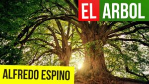 Lee más sobre el artículo El Arbol Alfredo Espino